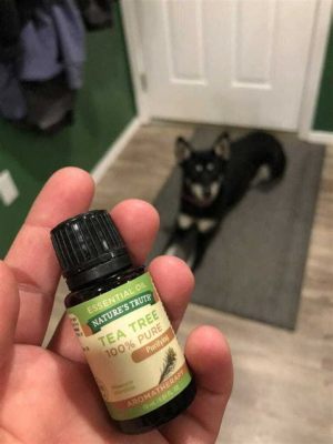 can i use tea tree shampoo on my dog