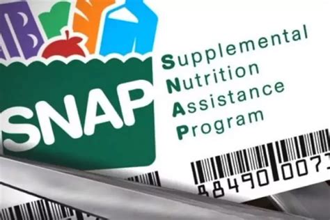 Can You Reapply for Food Stamps? - 深入探讨与解答相关疑问