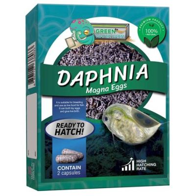 what is daphnia fish food?